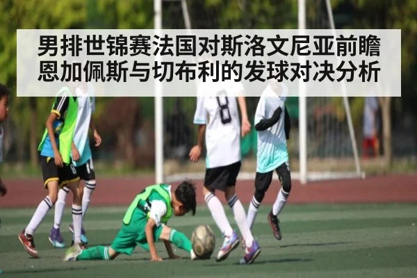 男排世锦赛法国对斯洛文尼亚前瞻 恩加佩斯与切布利的发球对决分析