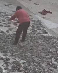 开云APP-80岁老太毁水泥地后续：损失超5000元，子女连夜返回，原因太离谱